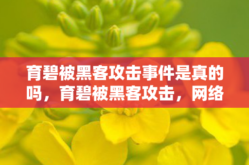 育碧被黑客攻击事件是真的吗，育碧被黑客攻击，网络安全警钟再次敲响