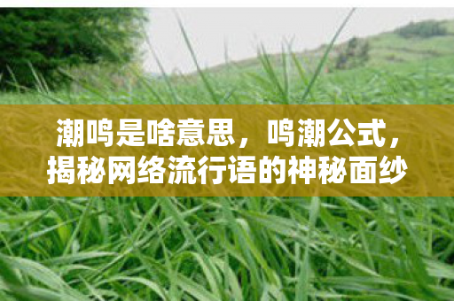 潮鸣是啥意思，鸣潮公式，揭秘网络流行语的神秘面纱