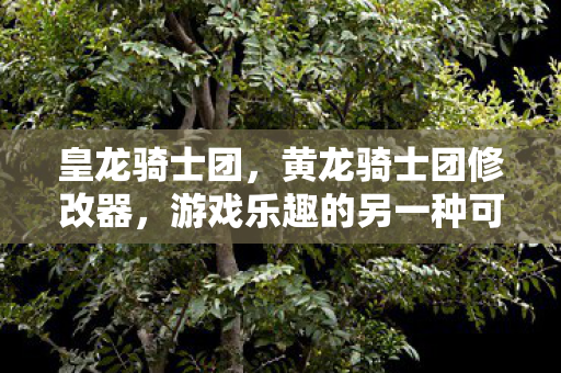 皇龙骑士团，黄龙骑士团修改器，游戏乐趣的另一种可能
