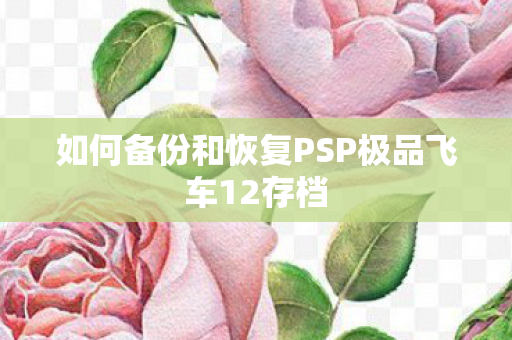 如何备份和恢复PSP极品飞车12存档