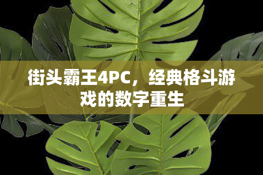街头霸王4PC，经典格斗游戏的数字重生