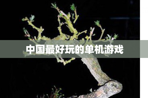 中国最好玩的单机游戏