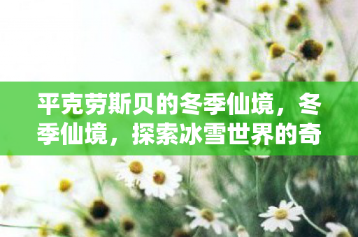 平克劳斯贝的冬季仙境，冬季仙境，探索冰雪世界的奇妙之旅