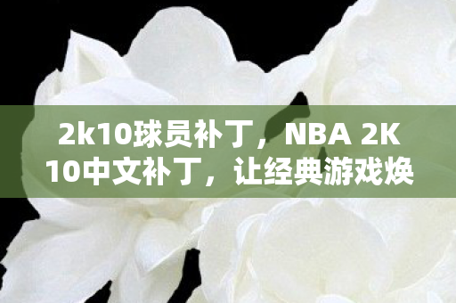 2k10球员补丁，NBA 2K10中文补丁，让经典游戏焕发新生