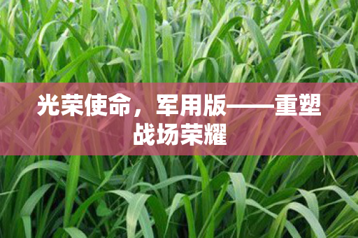 光荣使命，军用版——重塑战场荣耀