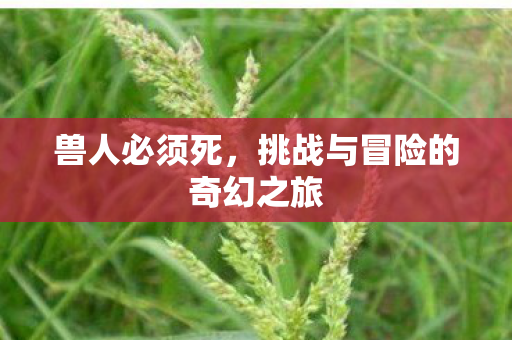 兽人必须死，挑战与冒险的奇幻之旅