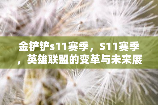 金铲铲s11赛季,S11赛季,英雄联盟的变革与未来展望 金铲铲s11赛季,S11赛季,英雄联盟的变革与未来展望