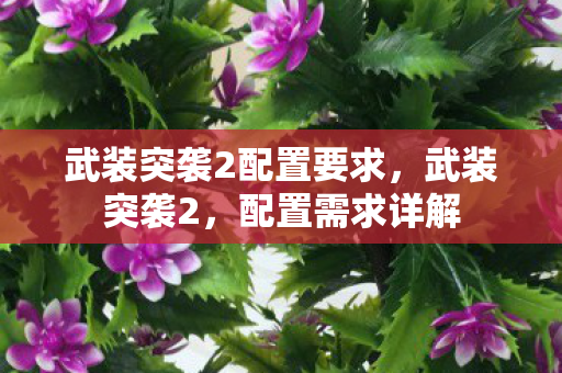 武装突袭2配置要求,武装突袭2,配置需求详解 武装突袭2配置要求,武装突袭2,配置需求详解