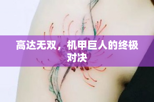 高达无双，机甲巨人的终极对决