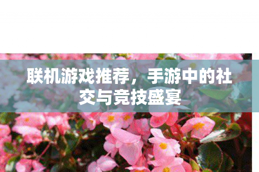 联机游戏推荐，手游中的社交与竞技盛宴