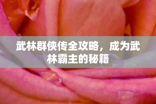 武林群侠传全攻略，成为武林霸主的秘籍