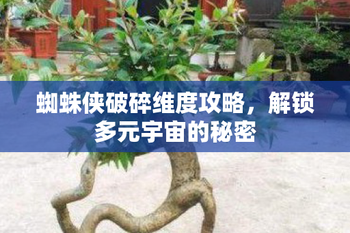 蜘蛛侠破碎维度攻略，解锁多元宇宙的秘密