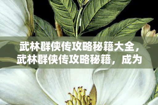 武林群侠传攻略秘籍大全,武林群侠传攻略秘籍,成为武林霸主的秘密 武林群侠传攻略秘籍大全,武林群侠传攻略秘籍,成为武林霸主的秘密