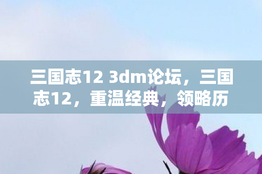 三国志12 3dm论坛，三国志12，重温经典，领略历史风云