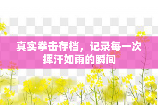 真实拳击存档，记录每一次挥汗如雨的瞬间