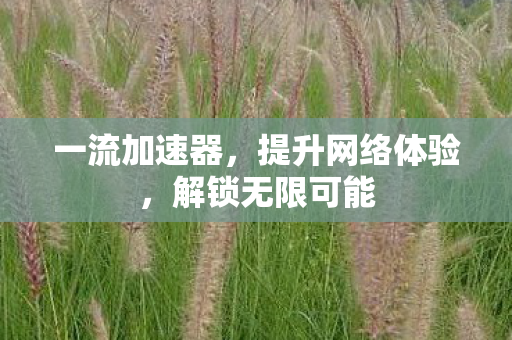 提升网络体验图片