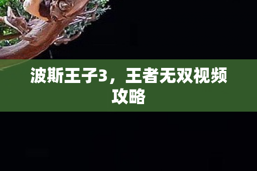 波斯王子3,王者无双视频攻略 波斯王子3,王者无双视频攻略