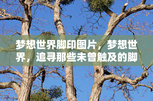 梦想世界脚印图片,梦想世界,追寻那些未曾触及的脚印 梦想世界脚印图片,梦想世界,追寻那些未曾触及的脚印