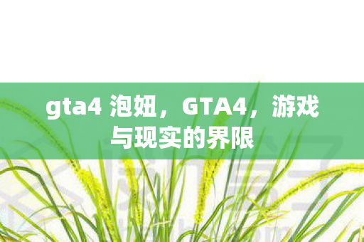 gta4 泡妞，GTA4，游戏与现实的界限