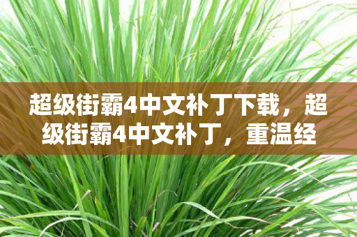 超级街霸4中文补丁下载,超级街霸4中文补丁,重温经典,无需语言障碍 超级街霸4中文补丁下载,超级街霸4中文补丁,重温经典,无需语言障碍