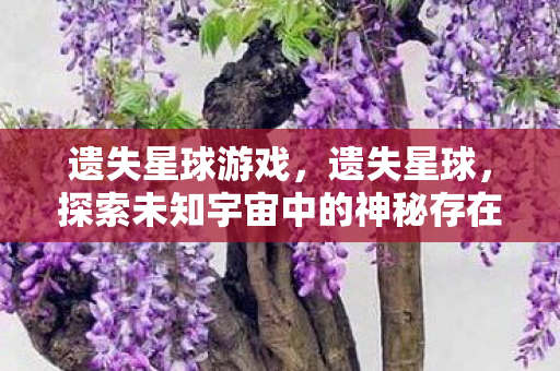 遗失星球游戏，遗失星球，探索未知宇宙中的神秘存在