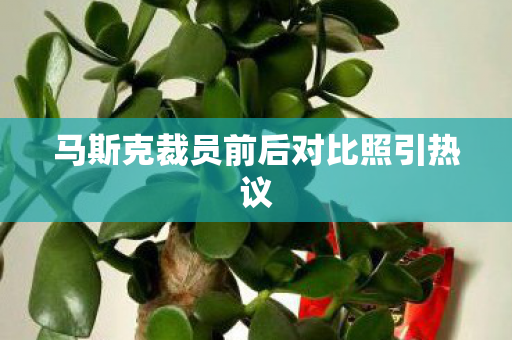 马斯克裁员前后对比照引热议