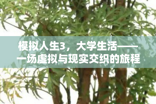 模拟人生3，大学生活——一场虚拟与现实交织的旅程