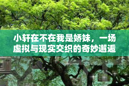 小轩在不在我是娇妹,一场虚拟与现实交织的奇妙邂逅 小轩在不在我是娇妹,一场虚拟与现实交织的奇妙邂逅