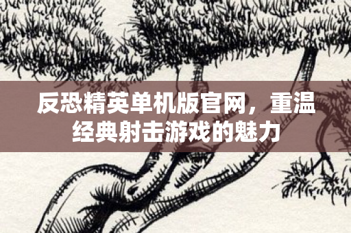 反恐精英单机版官网,重温经典射击游戏的魅力 反恐精英单机版官网,重温经典射击游戏的魅力
