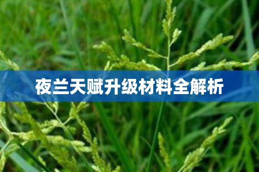 夜兰天赋升级材料全解析