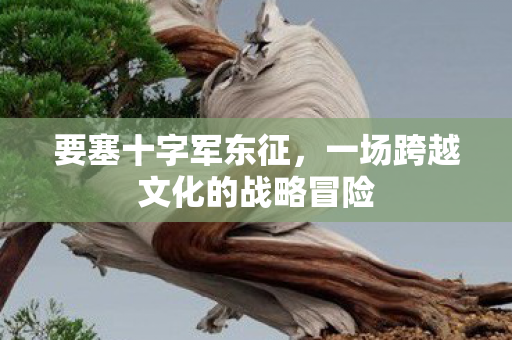 要塞十字军东征，一场跨越文化的战略冒险