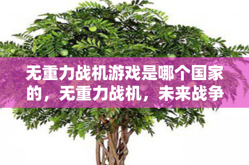 无重力战机游戏是哪个国家的,无重力战机,未来战争的新篇章 无重力战机游戏是哪个国家的,无重力战机,未来战争的新篇章