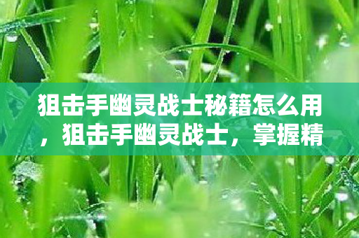 狙击手幽灵战士秘籍怎么用，狙击手幽灵战士，掌握精准射击与战术策略的秘籍