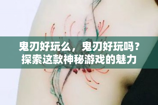 鬼刃好玩么，鬼刃好玩吗？探索这款神秘游戏的魅力