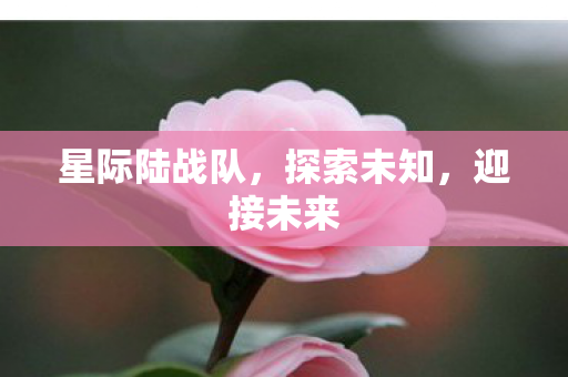 星际陆战队，探索未知，迎接未来