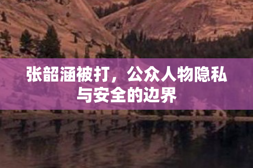 张韶涵被打,公众人物隐私与安全的边界 张韶涵被打,公众人物隐私与安全的边界