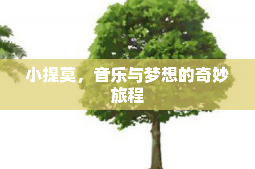 小提莫，音乐与梦想的奇妙旅程
