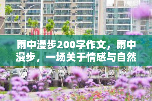 雨中漫步200字作文，雨中漫步，一场关于情感与自然的对话