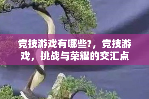 竞技游戏有哪些?，竞技游戏，挑战与荣耀的交汇点