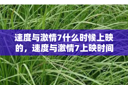 速度与激情7什么时候上映的，速度与激情7上映时间揭秘