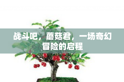一场奇幻冒险的启程图片