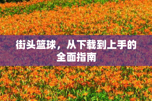 街头篮球，从下载到上手的全面指南