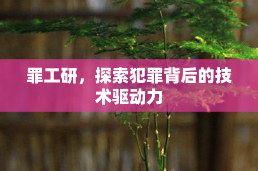罪工研，探索犯罪背后的技术驱动力