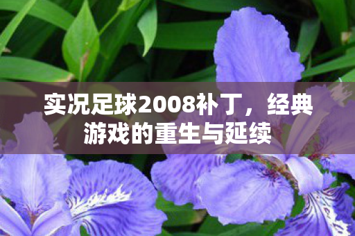 实况足球2008补丁图片