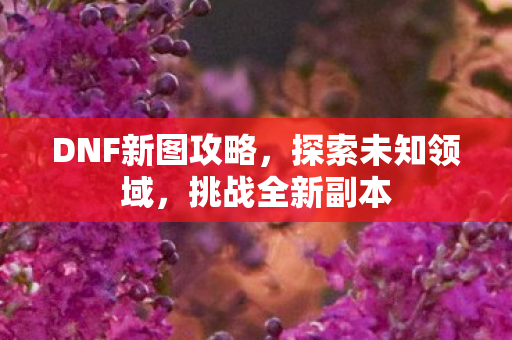 DNF新图攻略，探索未知领域，挑战全新副本