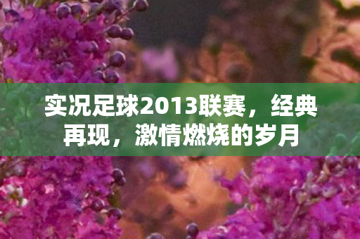 实况足球2013联赛，经典再现，激情燃烧的岁月