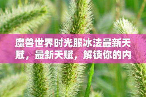 魔兽世界时光服冰法最新天赋，最新天赋，解锁你的内在潜能