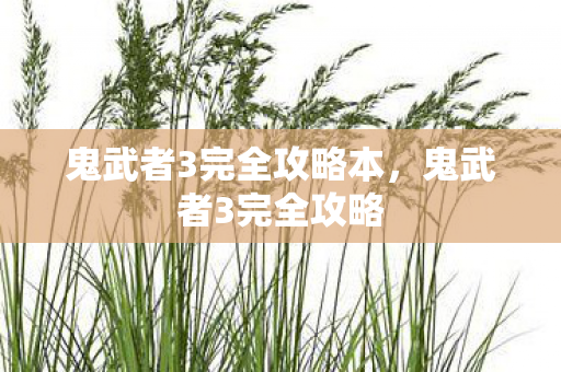 鬼武者3完全攻略本，鬼武者3完全攻略