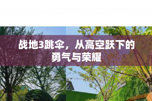 战地3跳伞，从高空跃下的勇气与荣耀