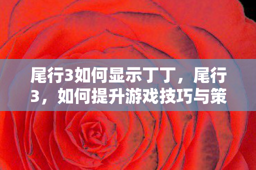 尾行3如何显示丁丁，尾行3，如何提升游戏技巧与策略